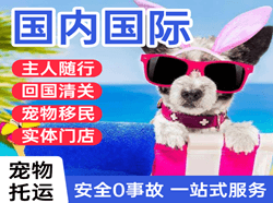 长海航空快递国际宠物托运 【国